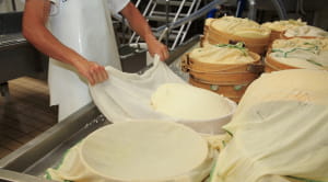 cheese manufacturer